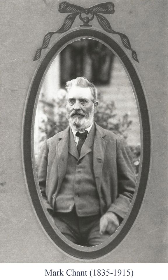 Mark Chant