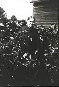Letitia Jane (Hales) White